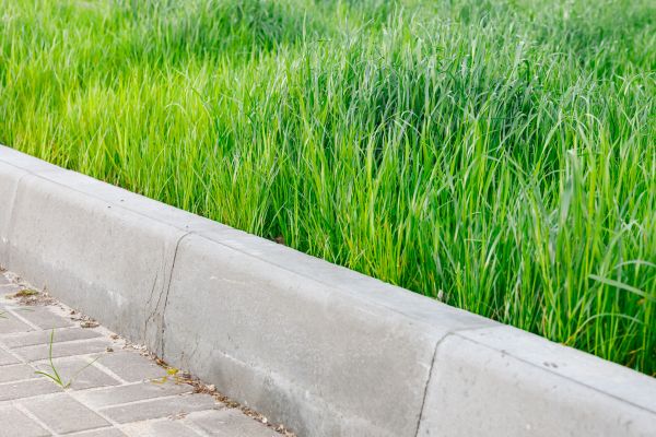 Concrete Curb Repair in Mount Juliet