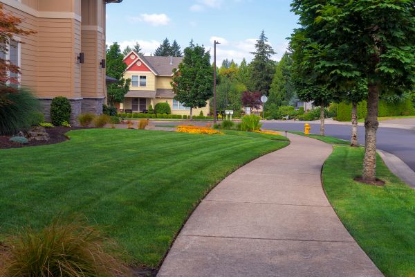 Sidewalk Patching in Mount Juliet