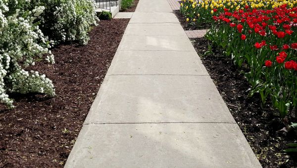 Concrete Pathway Repair in Mount Juliet