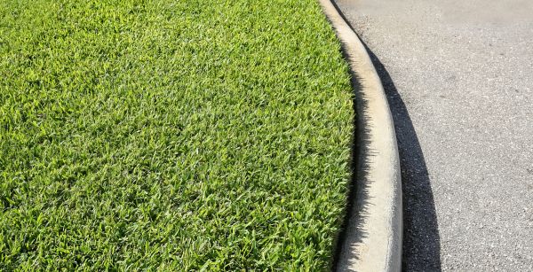Driveway Curb Repair in Mount Juliet